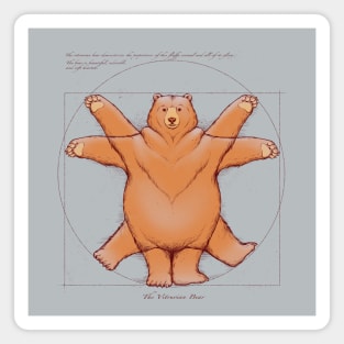 Vitruvian Bear Magnet